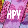 Γενικά για τους HPV